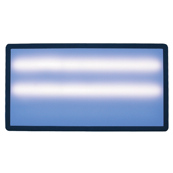 LED Light, 20 inches, dimmable