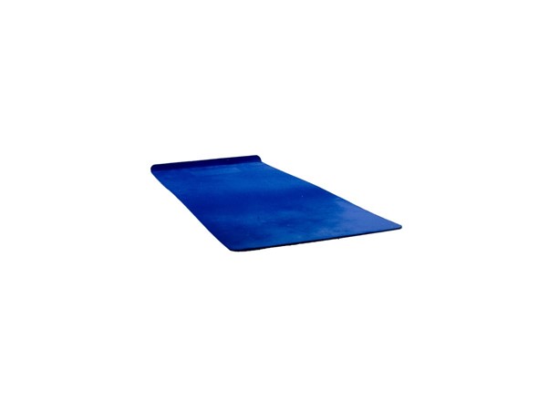 Window Shield