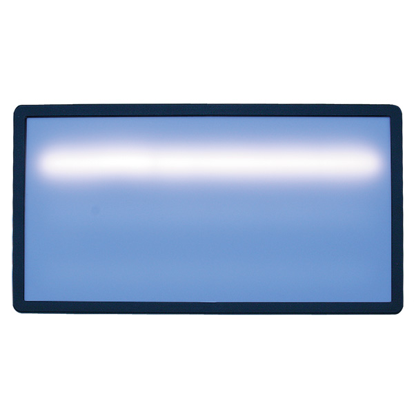 LED Light, 20 inches, dimmable