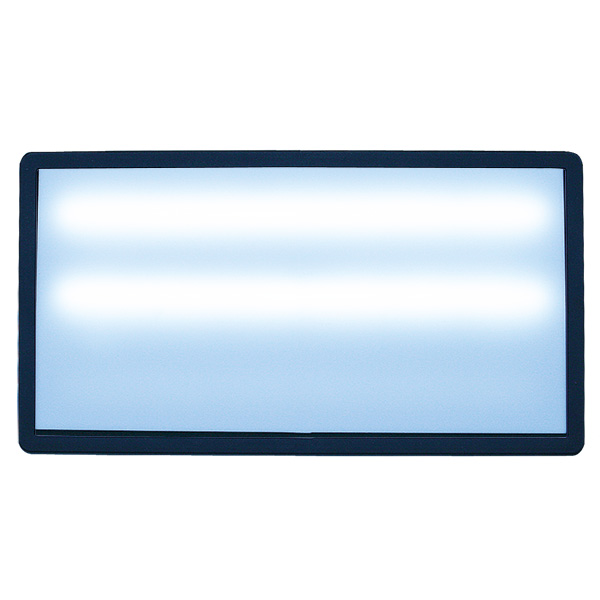 LED Light, 20 inches, dimmable