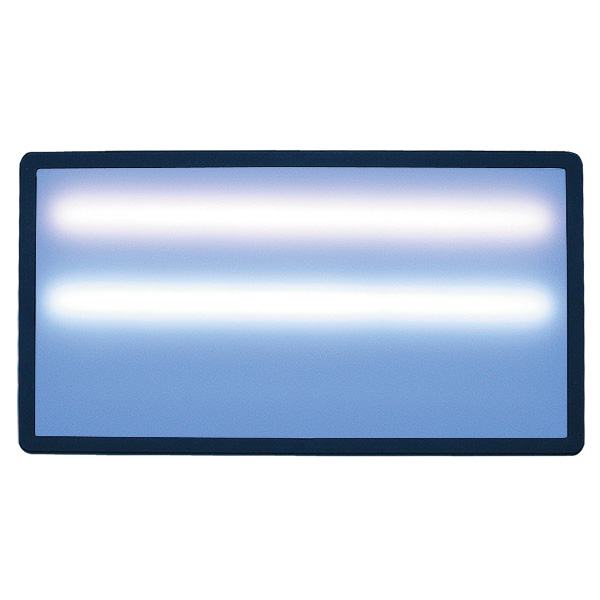 LED Light, 20 inches, dimmable